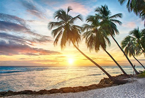 Baocicco 7x5ft Seaside Beach Backdrop Coconut Palm Trees Sunset Backdrop Photography Background Glow Skyline Dusk Coastline Landscape Christmas Summer Holiday Tropical Beach Party Travel Vacation