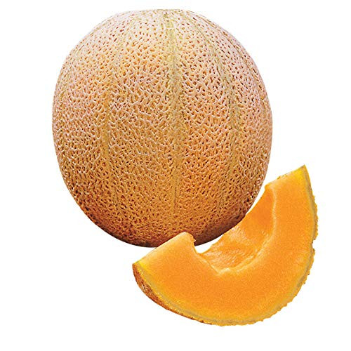 Hale's Best Cantaloupe - Heirloom, Non GMO, Neonicotinoid-Free
