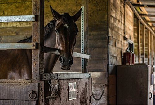 AOFOTO 7x5ft Horse in Stable Shed Backdrop Old-Fashioned Ranch Barn Retro Cabin Vintage Turkey Farm Stall Photography Background Countryside Fence Rural Western Derby Party Cowboy Photo Studio Props