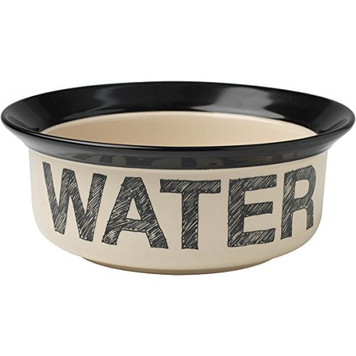 Petrageous Designs Pooch Basics 8" Pet Bowl, Water