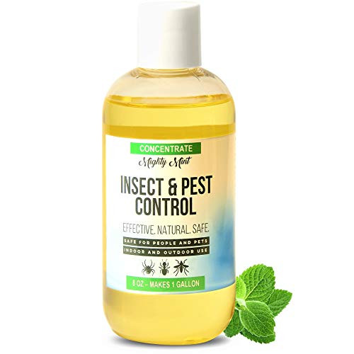 Mighty Mint - 8oz Insect and Pest Control Peppermint Concentrate - Makes a Gallon - Natural Spray for Spiders, Ants, and More - Non Toxic