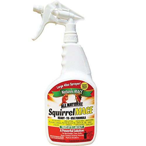 Squirrel MACE Squirrel Repellent 40oz Ready-to-Use Spray