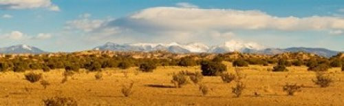 High desert plains landscape with snowcapped Sangre de Cristo Mountains in the background New Mexico USA Poster Print (36 x 12)