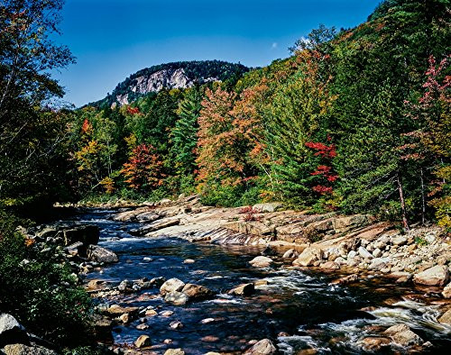 View of the Swift River along Kancamagus Highway White Mountain National Forest New Hampshire USA Poster Print by Panoramic Images (14 x 11) View of the Swift River along Kancamagus Highway White Mountain National Forest New Hampshire USA Poster Print by Panoramic Images (14 x 11)