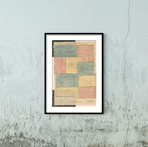 1878 Map|Title: T.C. Strickland's New sectional map of Webster Co, Missouri|Subject: Cadastral Land