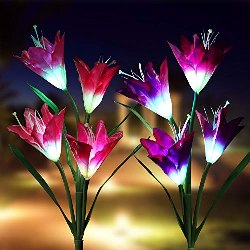 Solar Lights Outdoor - Outdoor Solar Garden Stake Lights,Flowers with Multi-Color Changing Lily Solar Flower Lights for Patio,Yard,Backyard,Outdoor Decorations,Garden Decorative(2Pack,Pink and Purple) Solar Lights Outdoor - Outdoor Solar Garden Stake Lights,Flowers with Multi-Color Changing Lily Solar Flower Lights for Patio,Yard,Backyard,Outdoor Decorations,Garden Decorative(2Pack,Pink and Purple)