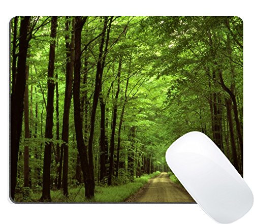 Wknoon Deep in The Forest Thick Green Vegetation Trees Nature Gaming Mouse Pad, Path Though Thick Wood Forest Scene Mouse Pads