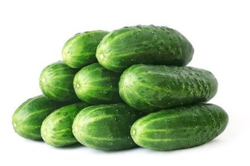 RDR Seeds 50 Straight Eight Cucumber Seeds Cucumis Sativus RDR Seeds 50 Straight Eight Cucumber Seeds Cucumis Sativus