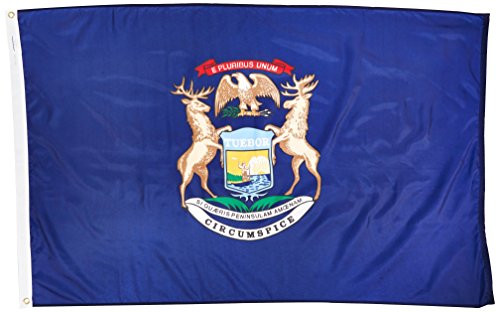 NationalCountryFlags New 3x5 Michigan State Flag US USA American Flags