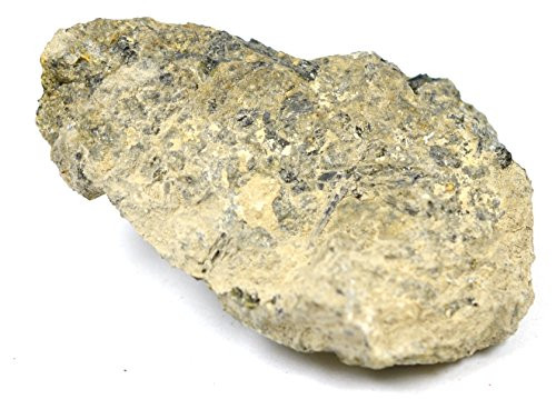 Eisco Andesite Specimen (Igneous Rock), Approx. 1" (3cm)