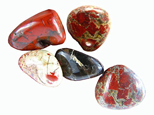 CircuitOffice 5 Piece Bloodstone Tumbled Stones (About 0.75-1.25 Inch) - Healing Stones, Metaphysical Healing, Chakra Stones for Wicca, Reiki, Healing, Metaphysical, Chakra, Positive Energy or Gift