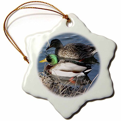 3dRose orn_11549_1 Mallard Duck Couple Porcelain Snowflake Ornament, 3-Inch