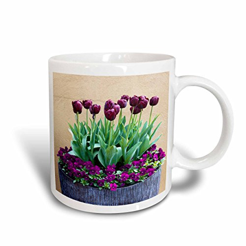 3dRose mug_58558_1"Potted Purple Tulips" Ceramic Mug, 11 oz, Multicolor