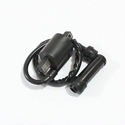 Holdwell Ignition Coil Fits Yamaha Warrior 350 YFM350 1989-2004 ATV Ignition Coil