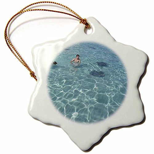 3dRose orn_34557_1 Cayman Island Stingrays Snowflake Porcelain Ornament, 3-Inch