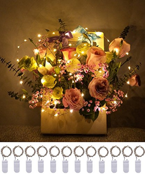 DIGSELL 12 Pack LED String Lights Silver Wire Lights, Battery Operated 3.3ft(1M) 20 LEDs Starry Fairy Lights Rope Lights for Seasonal Decoration Home Holiday Wedding Party(Warm White) DIGSELL 12 Pack LED String Lights Silver Wire Lights, Battery Operated 3.3ft(1M) 20 LEDs Starry Fairy Lights Rope Lights for Seasonal Decoration Home Holiday Wedding Party(Warm White)