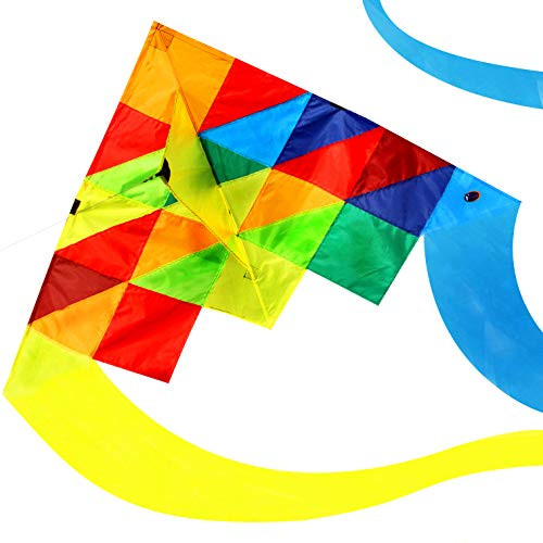 emma kites Rainbow Triangle Delta Kite for Beginner Kids Adults