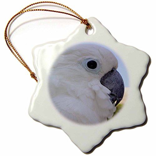 3dRose orn_46804_1 Blue Eyed Cockatoo Blue Eyed Bird Snowflake Porcelain Ornament, 3-Inch