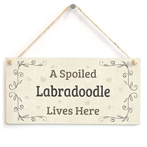Meijiafei A Spoiled Labradoodle Lives Here - Adorable Home Decor Accessory Gift Sign Idea for Labradoodle Dog Owners 10"x5" Meijiafei A Spoiled Labradoodle Lives Here - Adorable Home Decor Accessory Gift Sign Idea for Labradoodle Dog Owners 10"x5"