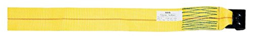 Liftex 63311x30 Winch Strap with Wire Hook, 3" x 30', Yellow