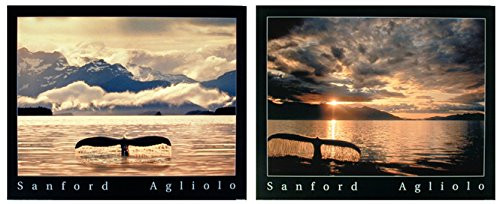 Impact Posters Gallery Whale Tail Wall Decor Underwater Ocean Animal Picture 16x20 Two Set Art Print Poster