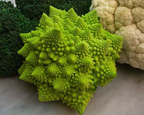 Broccoli Romanesco AKA Cauliflower Great Heirloom Vegetable By Seed Kingdom BULK 1 OZ Seeds