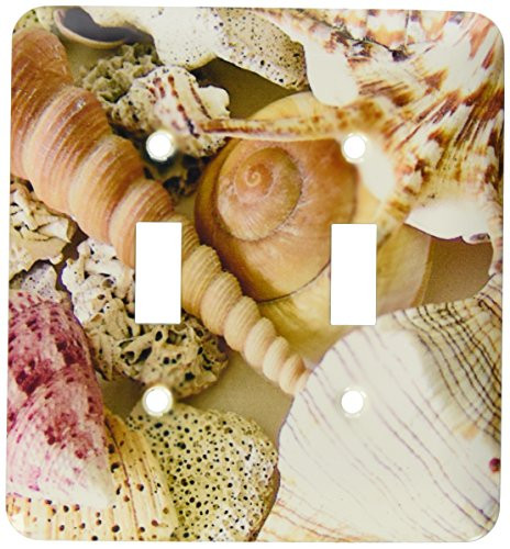 3dRose LLC lsp_40855_2 Florida Keys Seashells, Double Toggle Switch