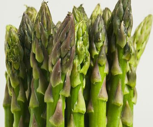 Asparagus Mary Washington Great Heirloom Vegetable By Seed Kingdom BULK 2,000 Seeds