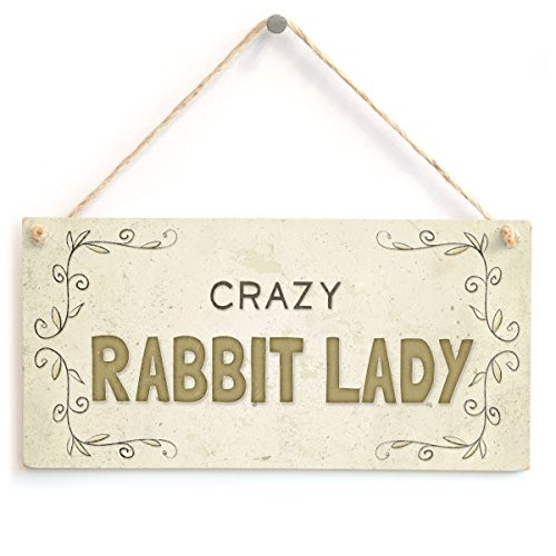Meijiafei Crazy Rabbit Lady - Beautiful Home Accessory Gift Sign Idea for Rabbit Lovers 10"x5" Meijiafei Crazy Rabbit Lady - Beautiful Home Accessory Gift Sign Idea for Rabbit Lovers 10"x5"