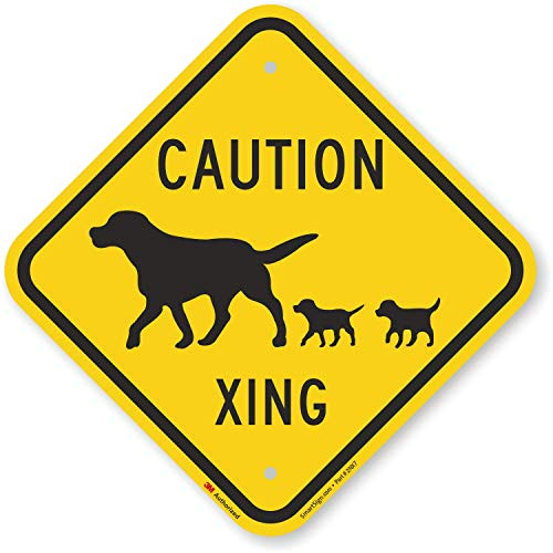 "Caution Dog Xing" Crossing Sign By SmartSign | 12" x 12" 3M Engineer Grade Reflective Aluminum