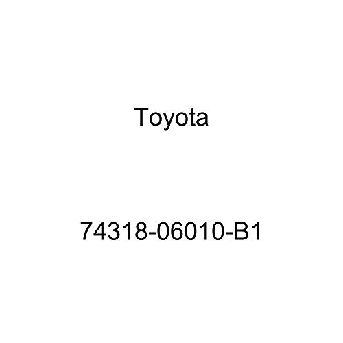 TOYOTA Genuine 74318-06010-B1 Visor Bracket Cover