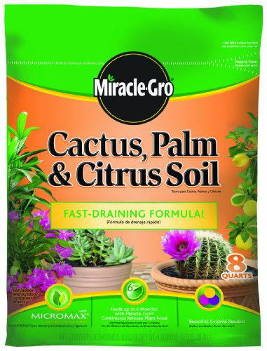 Miracle-Gro 0062581-298 Cactus, Palm, & Citrus Soil - 8 Quart  (Older Model)