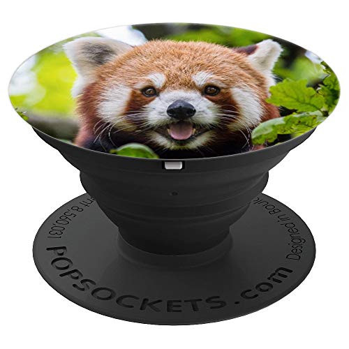 Red Panda - PopSockets Grip and Stand for Phones and Tablets