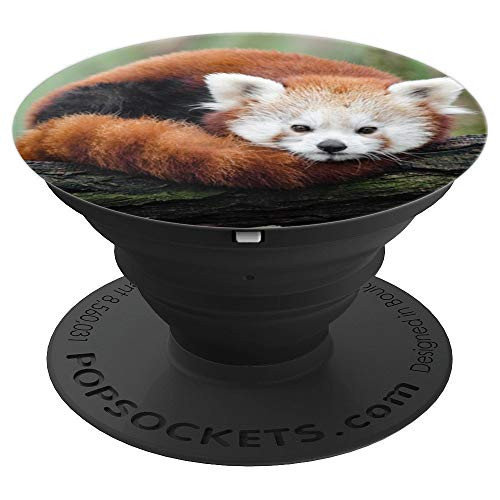 Cute Red Panda Spirit Animal Gift - PopSockets Grip and Stand for Phones and Tablets