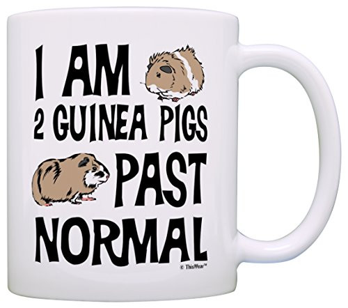 Guinea Pig Lover Gifts I Am 2 Guinea Pigs Past Normal Gift Coffee Mug Tea Cup White Guinea Pig Lover Gifts I Am 2 Guinea Pigs Past Normal Gift Coffee Mug Tea Cup White