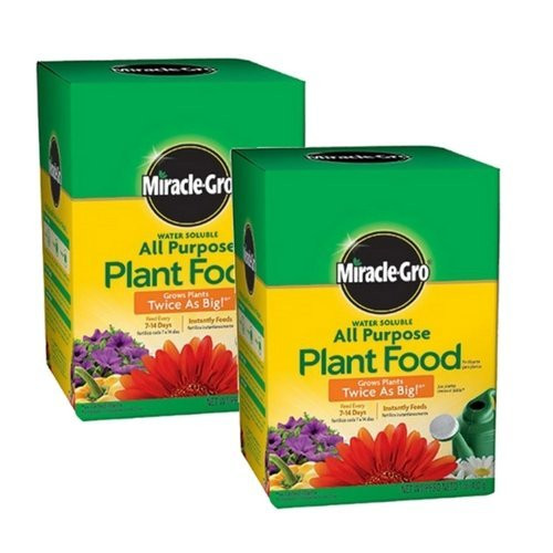 Miracle-Gro 160101 Water-Soluble All Purpose Plant Food, 24-8-16, 1-Pound (2 Pack)