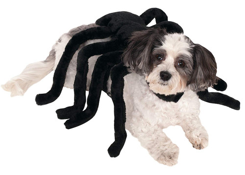 Rubies Costume Company Pet Spider Harness Costume