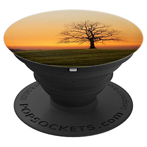 Tree Silhouette at Sunset Orange - PopSockets Grip and Stand for Phones and Tablets Tree Silhouette at Sunset Orange - PopSockets Grip and Stand for Phones and Tablets