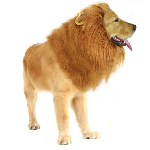 Lion Mane for Dog - Realistic & Funny Lion Mane Wig for Dog - Complementary Lion Mane Costume for dog - Lion Wig for Medium to Large Sized Dogs Christmas Dog Costume