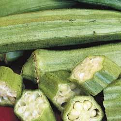 Okra Clemson Spineless Great Heirloom Vegetable BULK 1 Lb Seeds