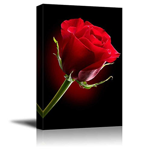 Canvas Prints Wall Art - Closeup of Red Rose Flower Against Black Background | Modern Wall Decor/Home Decoration Stretched Gallery Canvas Wrap Giclee Print & Ready to Hang - 16" x 24"