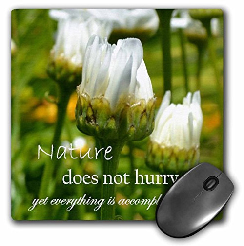 3dRose LLC 8 X 8 X 0.25 Inches Inspirational Nature Daisy Mouse Pad (mp_25092_1) 3dRose LLC 8 X 8 X 0.25 Inches Inspirational Nature Daisy Mouse Pad (mp_25092_1)