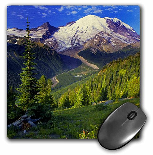 3dRose LLC 8 x 8 x 0.25 Inches Mouse Pad, USA Washington Mt Rainier National Park Richard Duval (mp_96617_1)