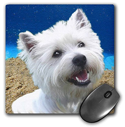 3dRose LLC 8 x 8 x 0.25 Inches Mouse Pad, West Highland Terrier (mp_4436_1)