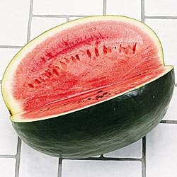 Seed Kingdom Watermelon Black Diamond Great Heirloom Vegetable Bulk 1 Lb Seeds