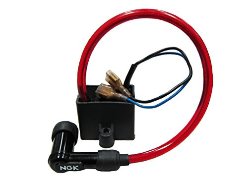 Flying Horse Stage 1 Motorized Bicycle 2-Stroke CDI Electron Ignition Coil  Gas Bike Electrical Ignition Upgrade