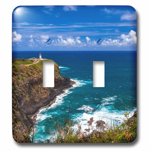 3dRose lsp_206558_2 The Kilauea Lighthouse on the Hawaiian Island of Kauai Double Toggle Switch
