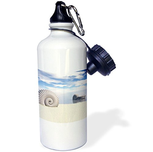 3dRose wb_20480_1"Beach of Shells summer scene of sandy beach and ocean water with shells" Sports Water Bottle, 21 oz, White