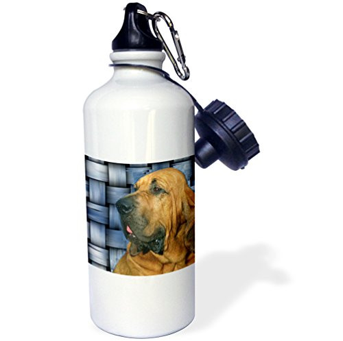 3dRose wb_4415_1 Bloodhound Sports Water Bottle, 21 oz, White 3dRose wb_4415_1 Bloodhound Sports Water Bottle, 21 oz, White