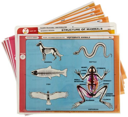 American Educational 12 Piece Vertebrate Animal Transparencies Set